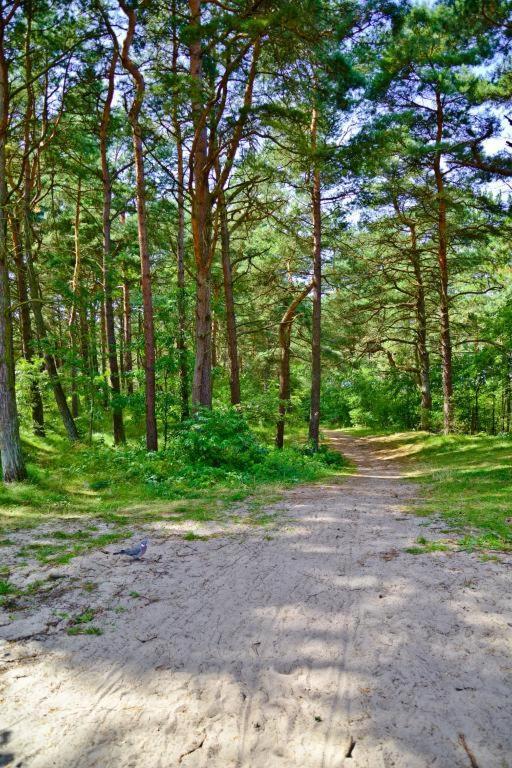 Apartamenty Lux Pogorzelica, Dwupoziomowy Z Dwiema Lazienkami I Dwoma Tarasami Pogorzelica  Exteriér fotografie